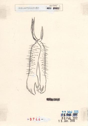aufzeichnungen_30_bea